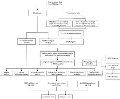 Tumor Immune Microenvironment Related Gene-Based Model to Predict Prognosis and Response to Compounds in Ovarian Cancer